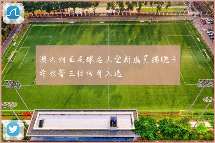 澳大利亚足球名人堂新成员揭晓卡希尔等三位传奇入选