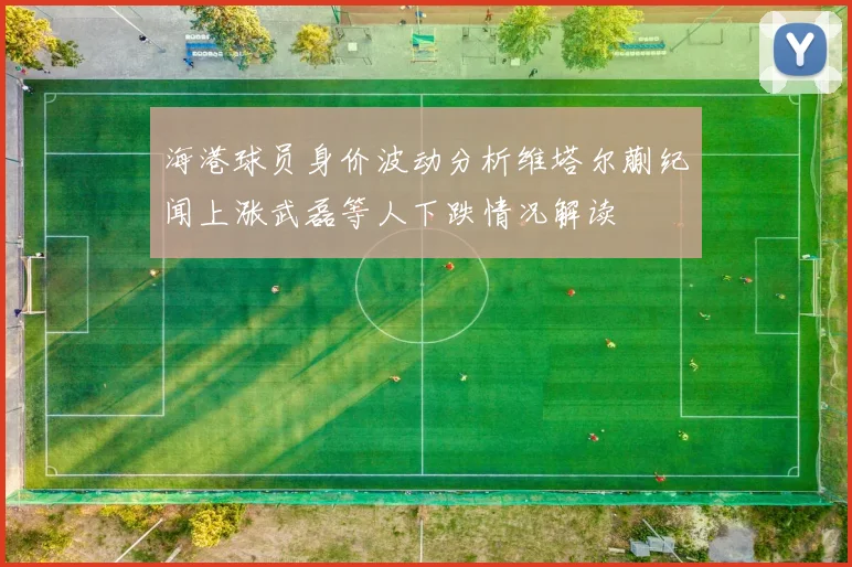 海港球员身价波动分析维塔尔蒯纪闻上涨武磊等人下跌情况解读