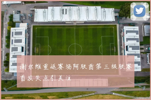谢尔维重返赛场阿联酋第三级联赛首发失点引关注